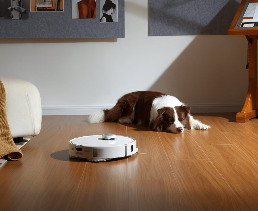roborock australia official pet friendly robot vacuum