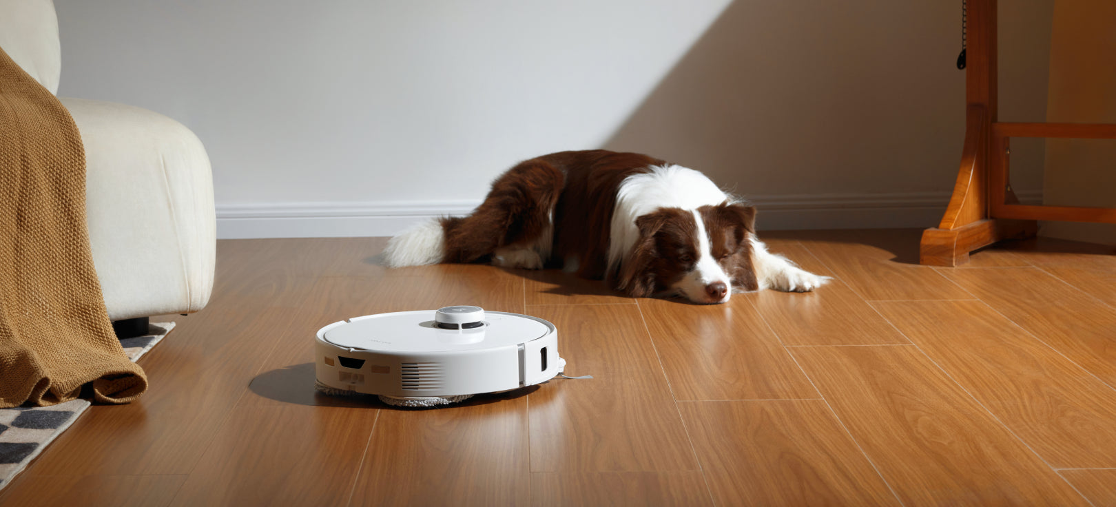 roborock australia official pet friendly robot vacuum
