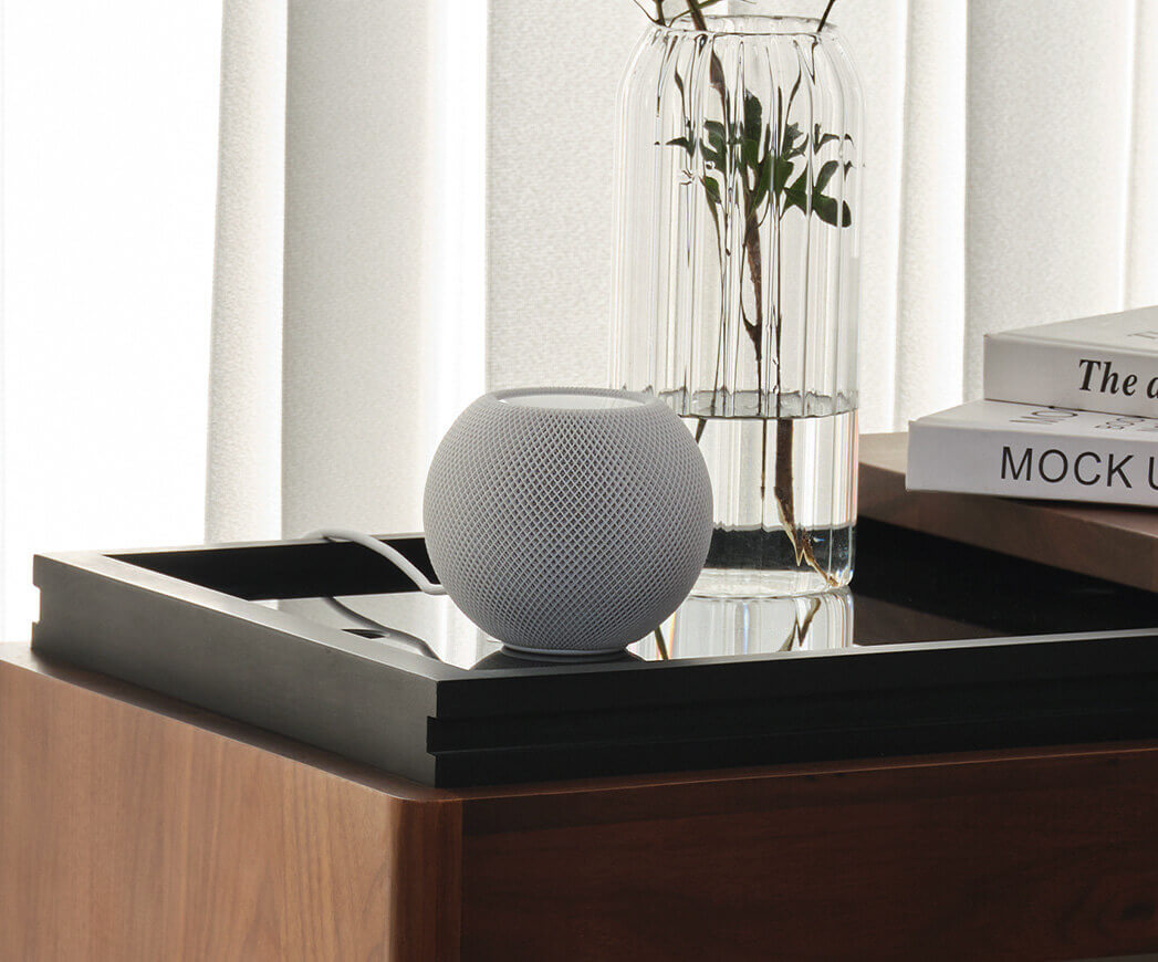 roborock compatible with third-party voice control